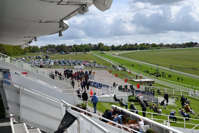 View From The Owners & Trainers