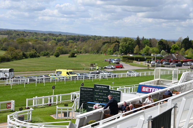 View From Owners & Trainers