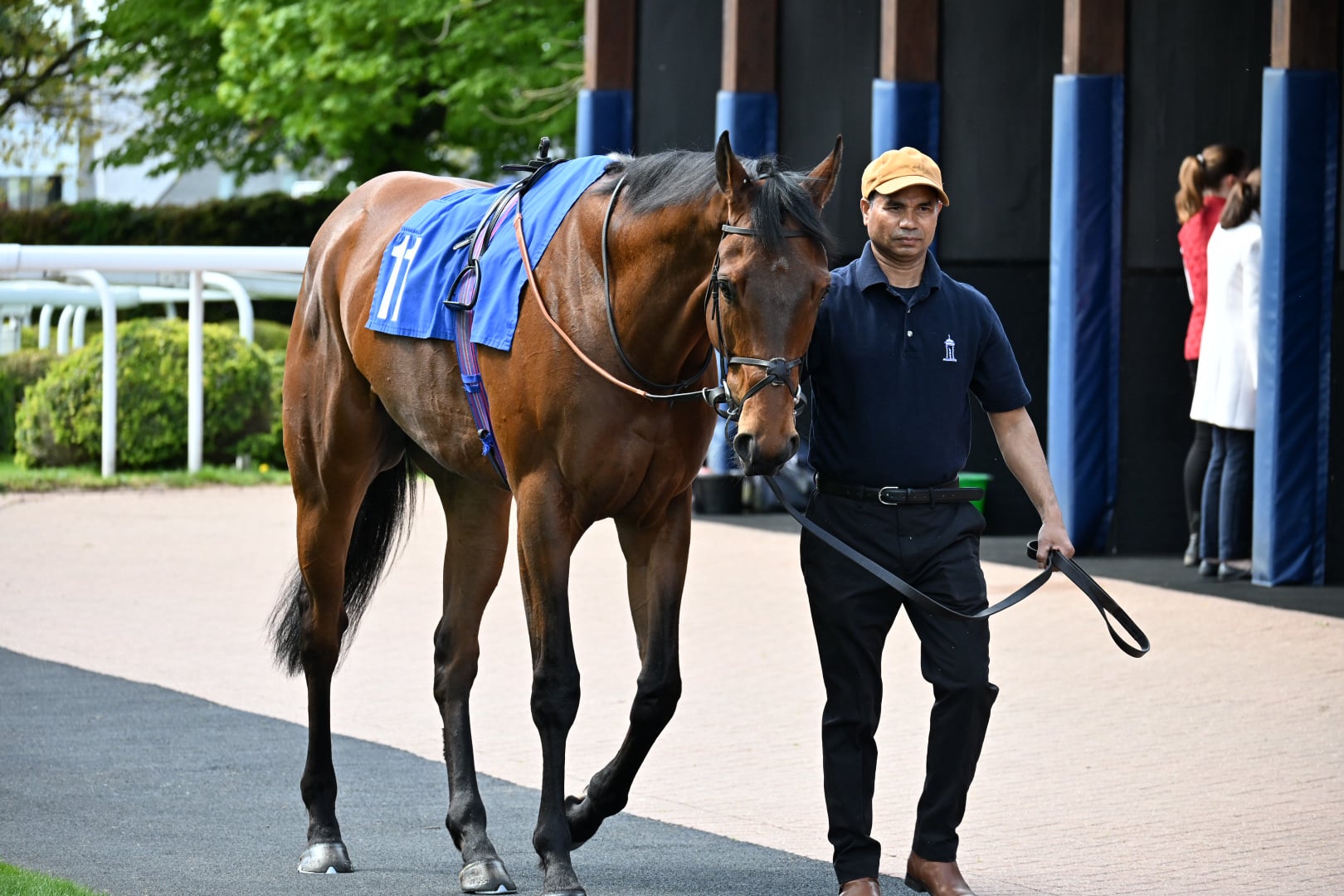 Parade Ring