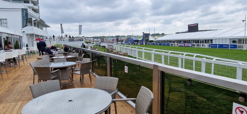 View from Owners & Trainers