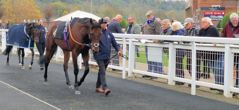 Parade Ring
