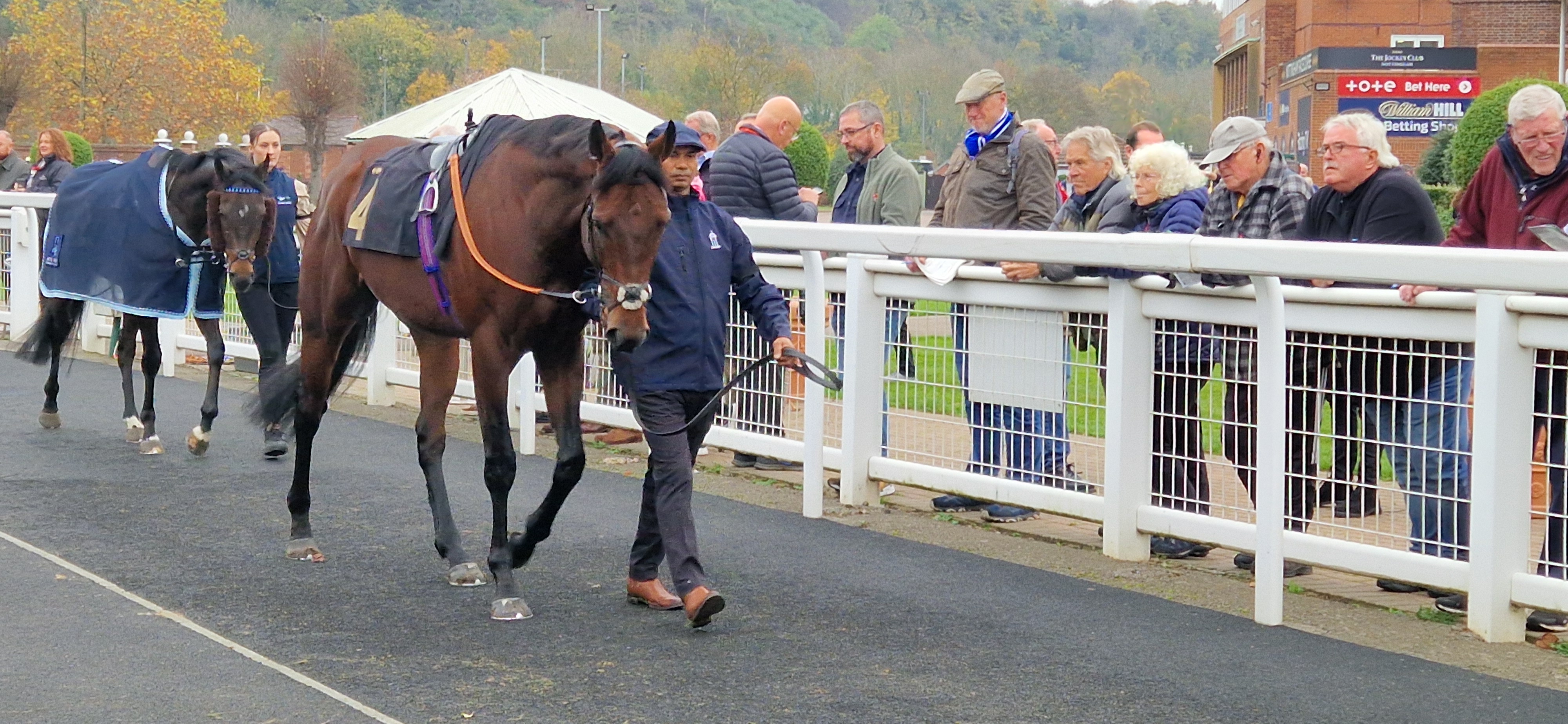 Parade Ring