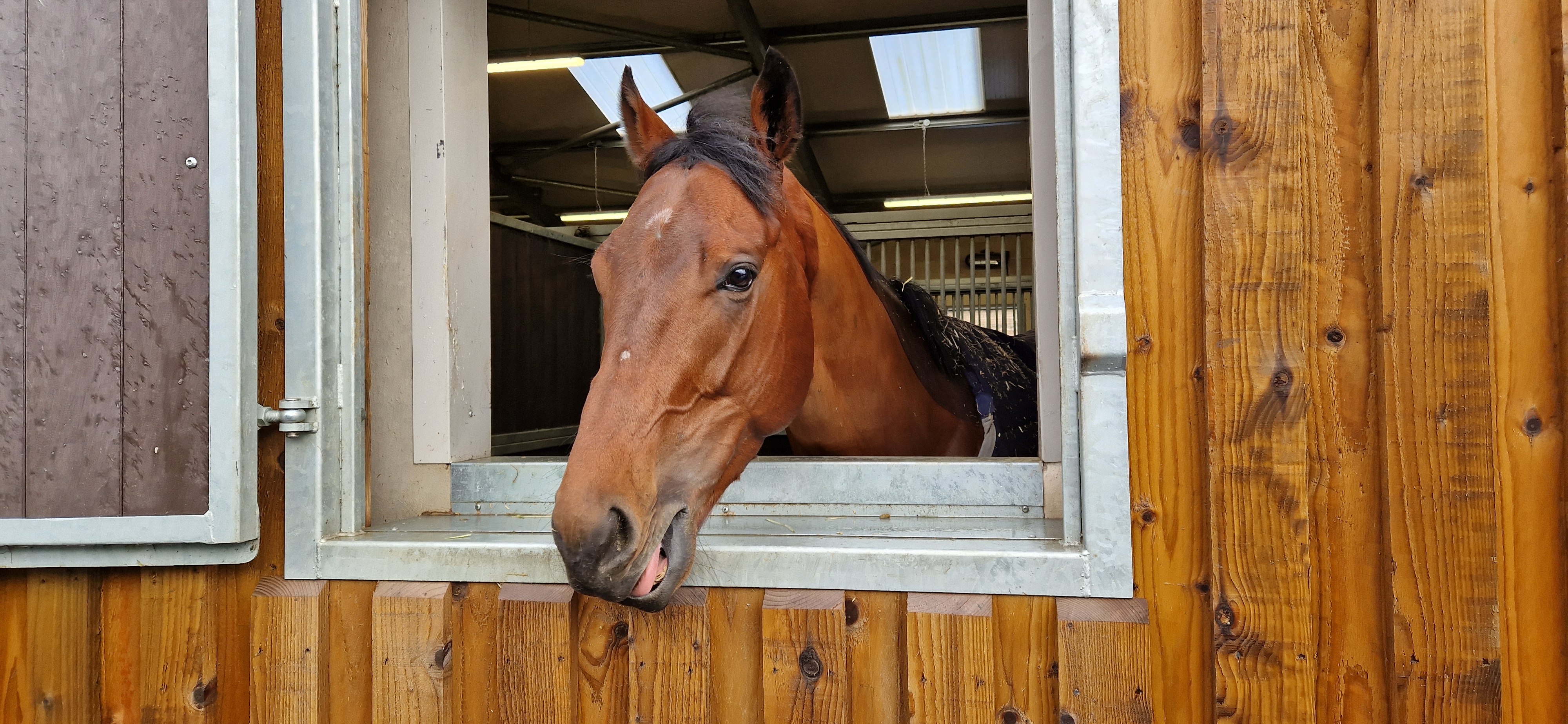 The Coffee pod in the Stables