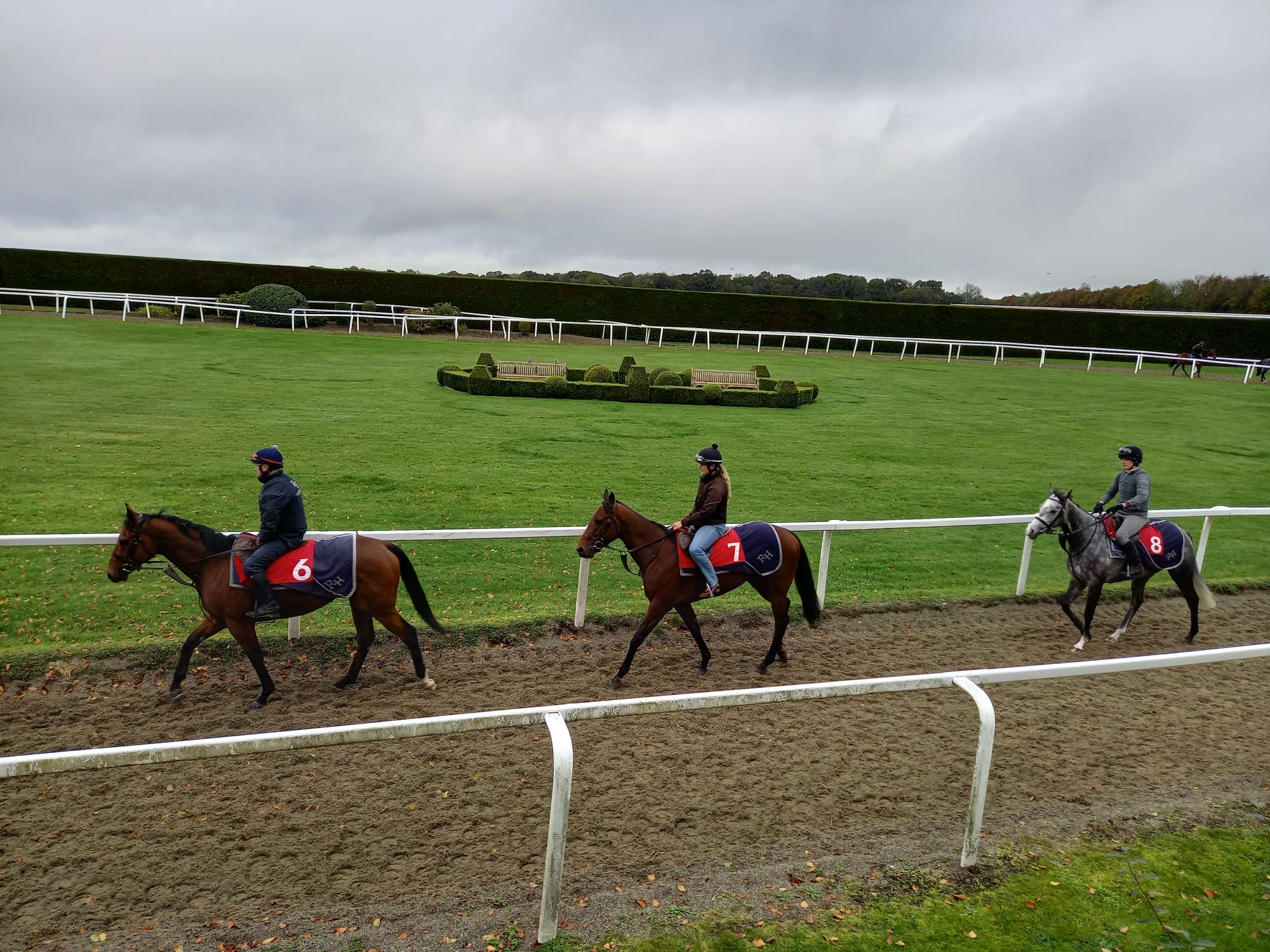 Stable Visit July 2023
