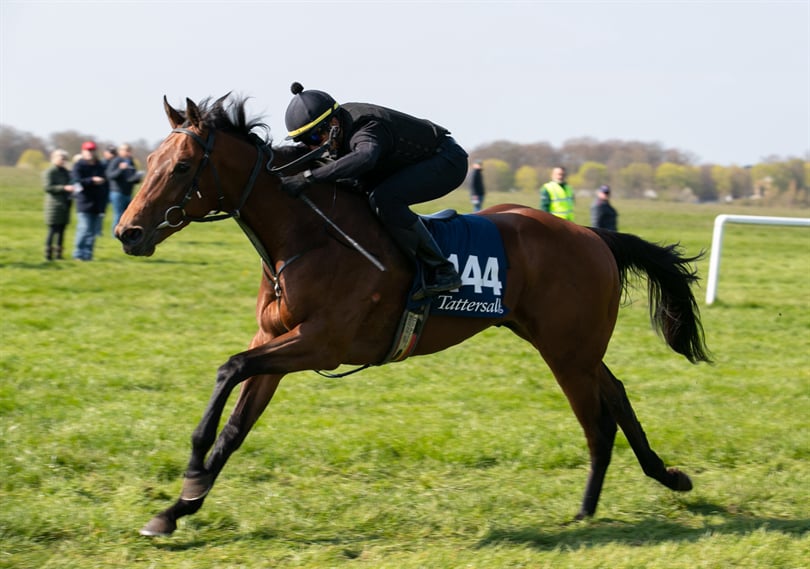 The Coffee Pod Running