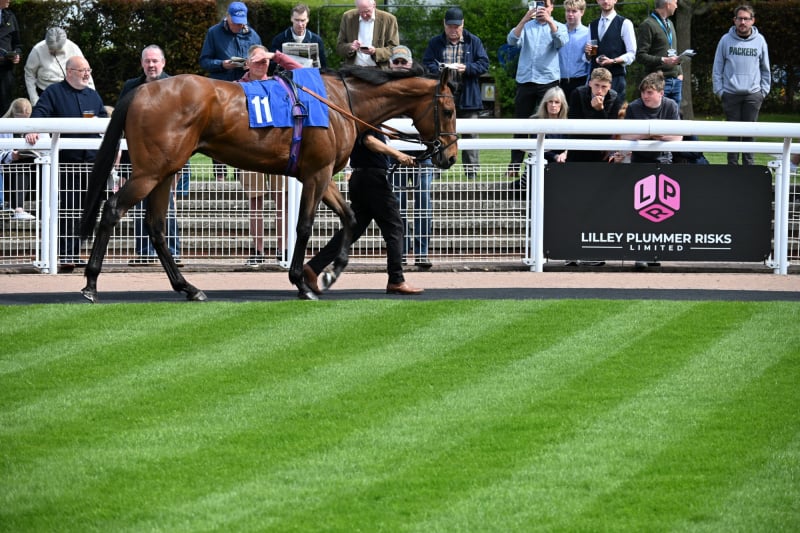 Parade Ring