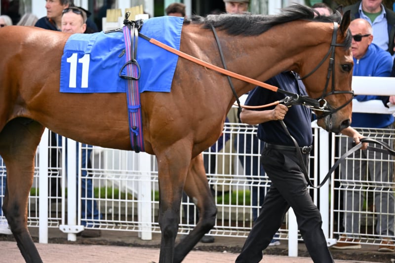 Parade Ring