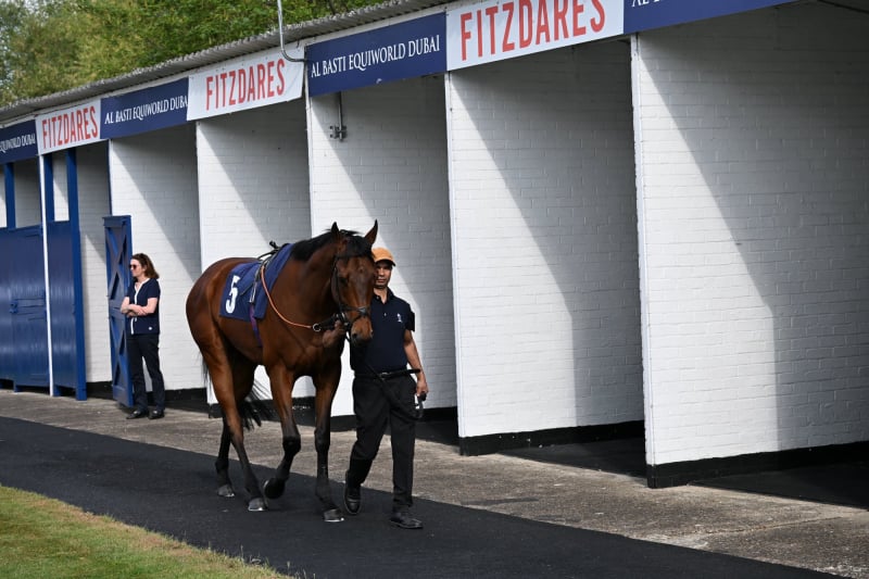 Pre Parade Ring