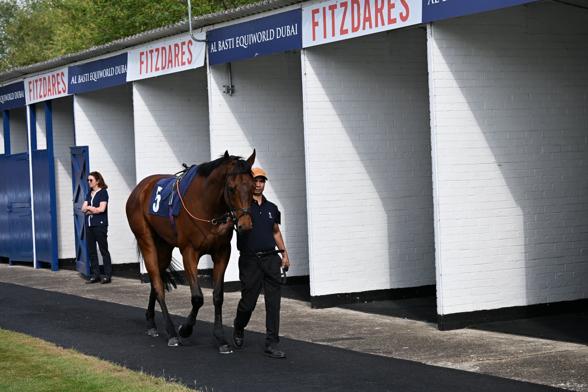 Pre Parade Ring