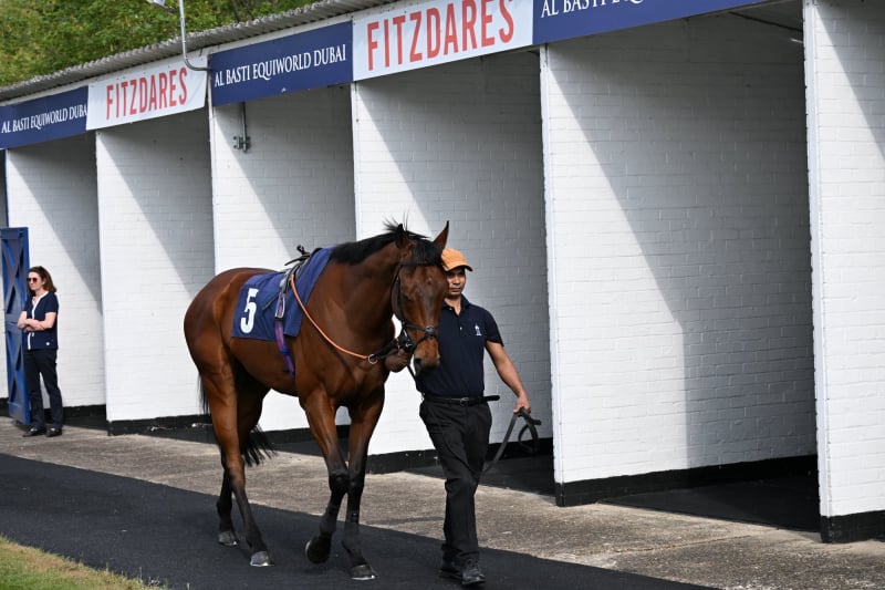 Pre Parade Ring