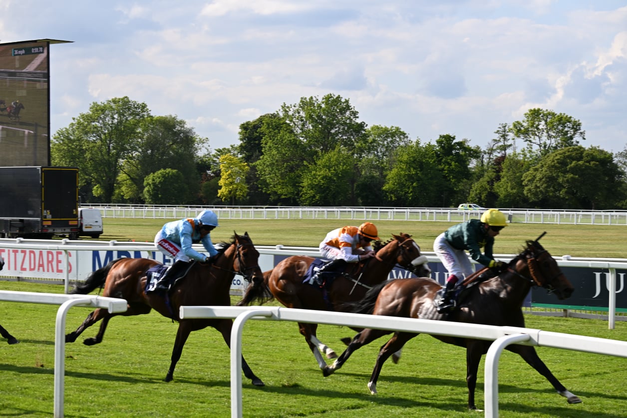 Windsor Finish Line