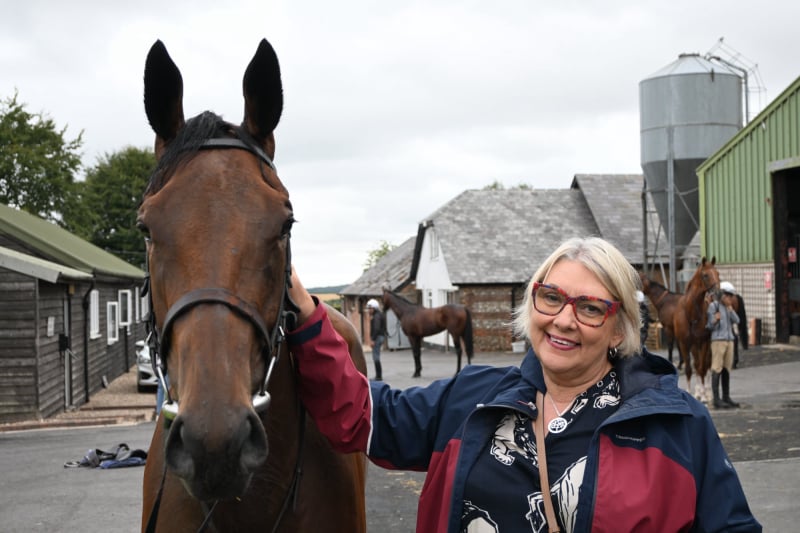 The Coffee Pod horse