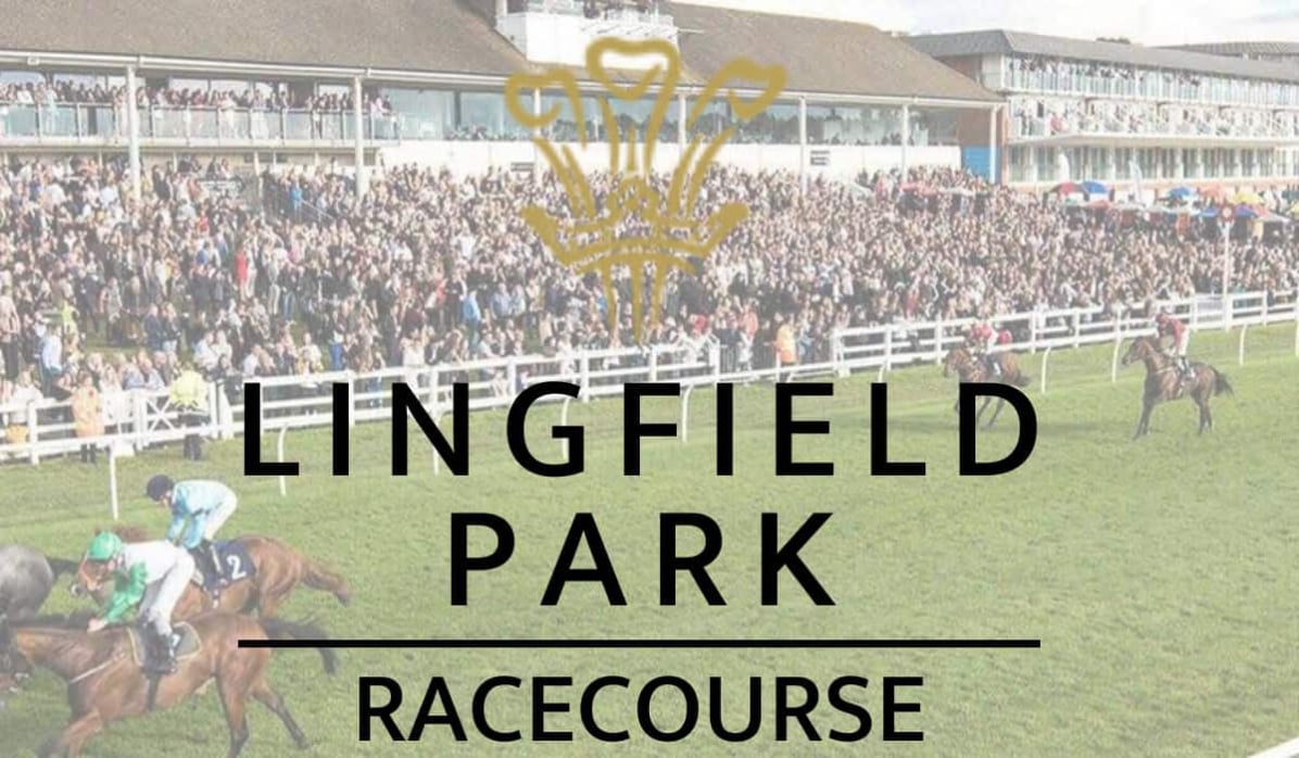 Lingfield Park 28th June