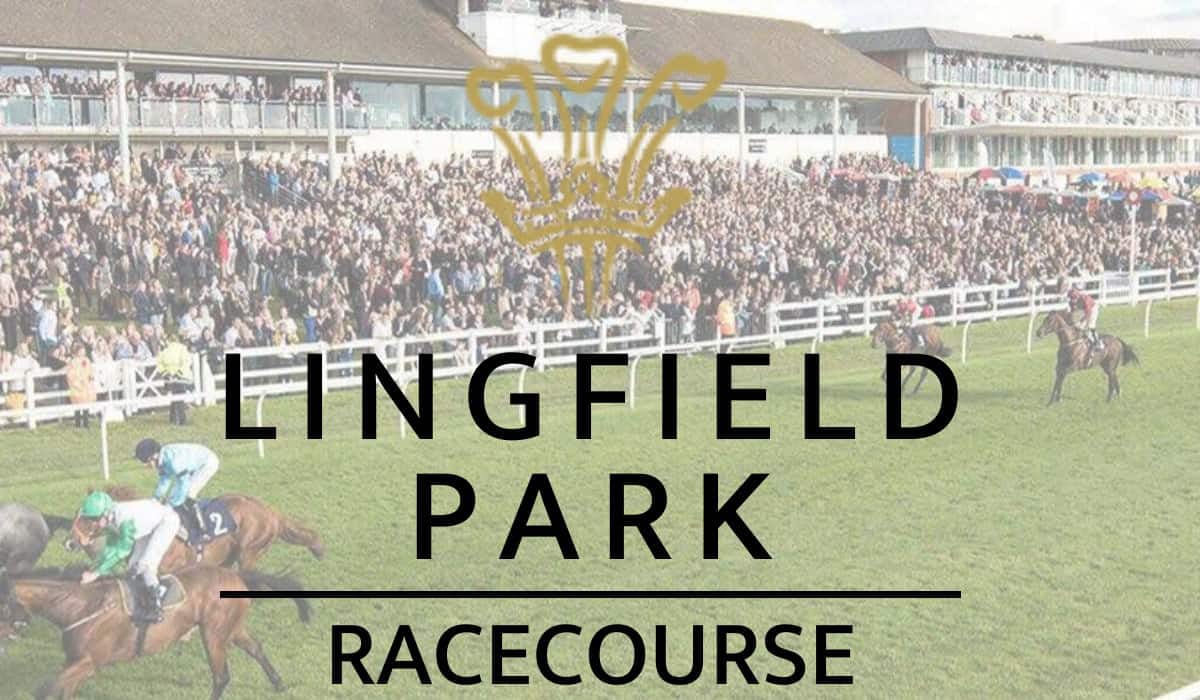 Lingfield Park 25th Race