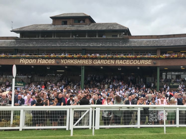 Ripon Races