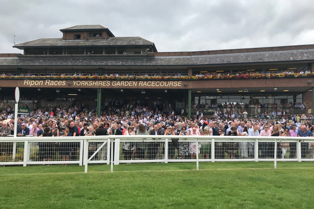 Ripon Races
