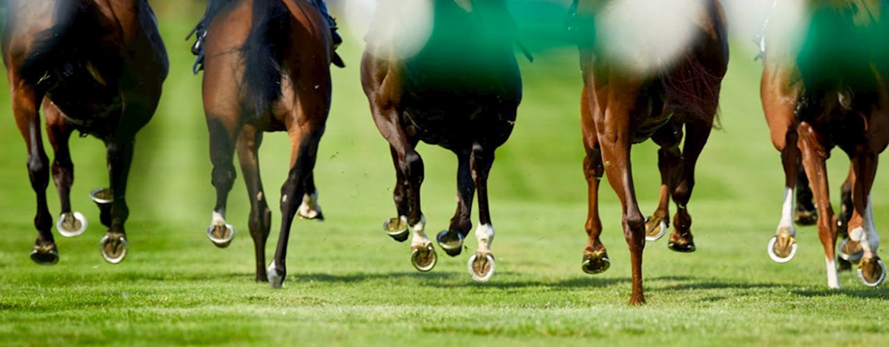 At The Races We Run In 