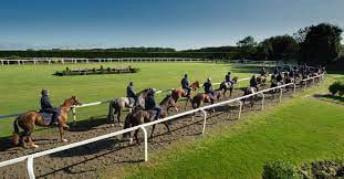 The Coffee Pod horse at Richard Hannon's 