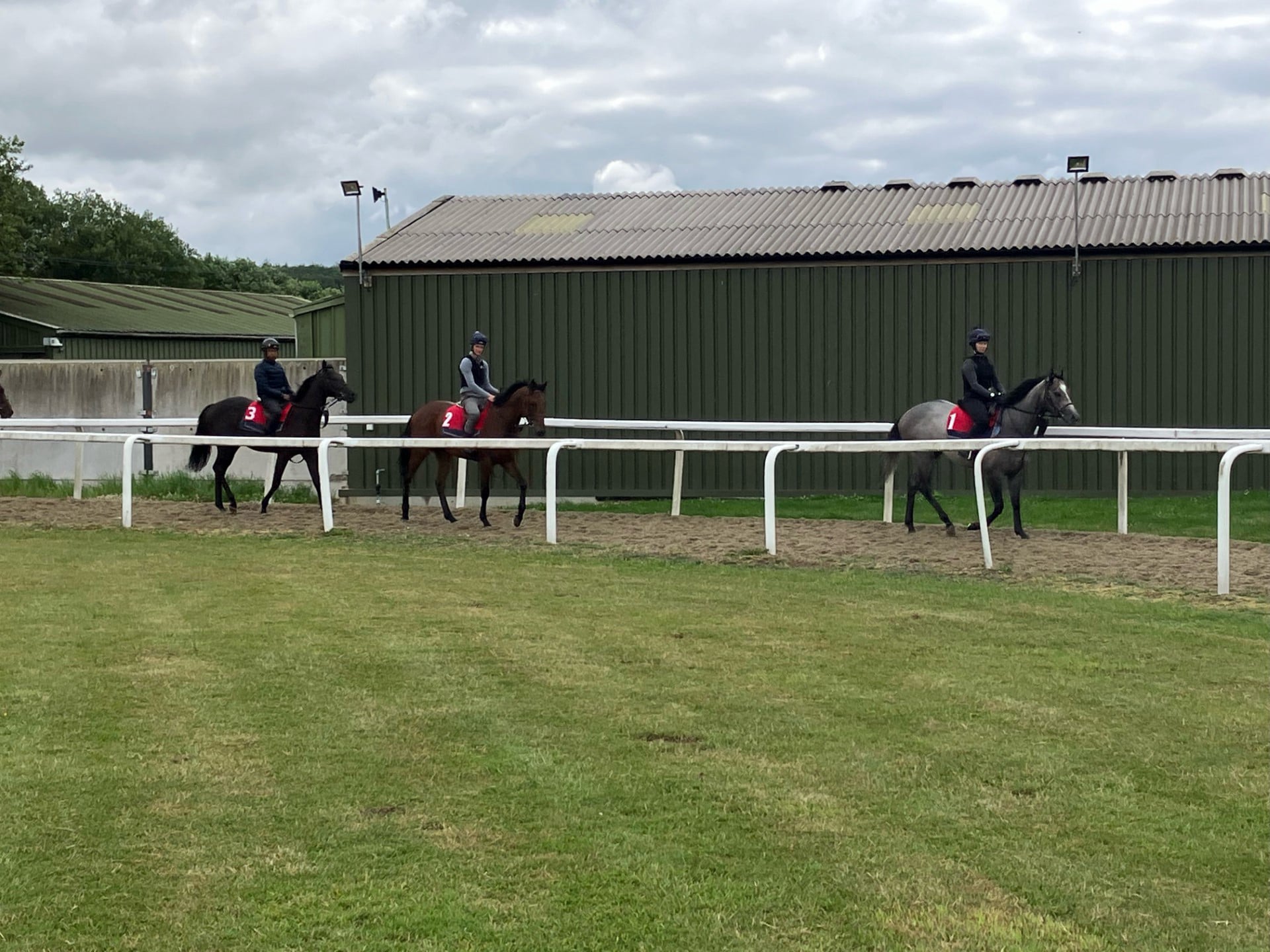 The Coffee Pod horse