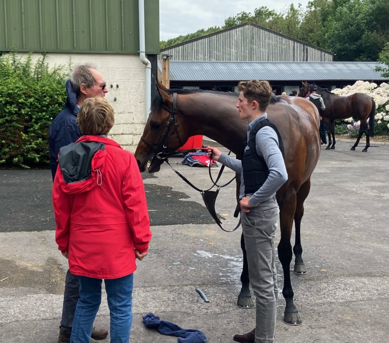 The Coffee Pod horse
