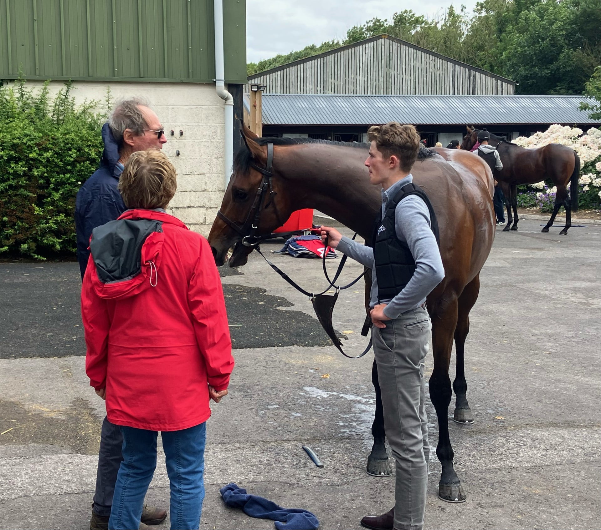 The Coffee Pod horse