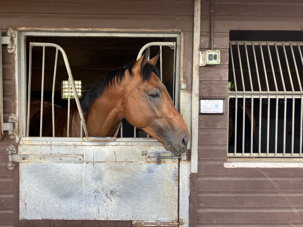 The Coffee Pod in the stables