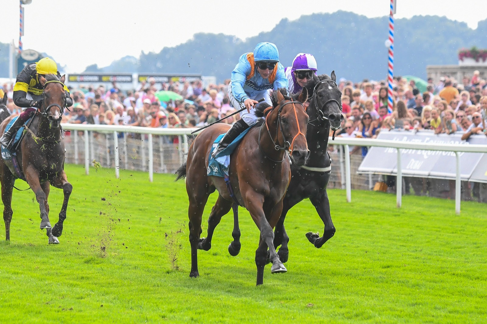 Winning The Race - The Coffee Pod
