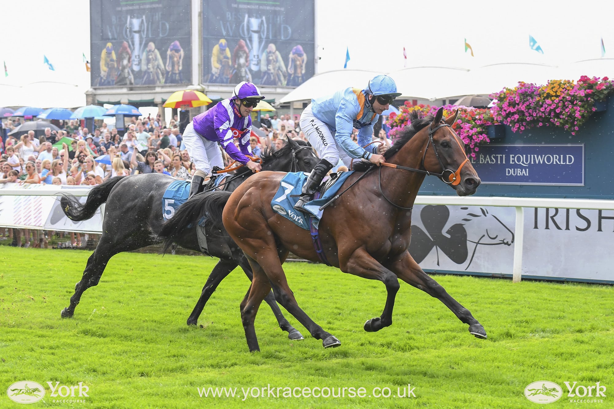 York Racecourse Our First Win